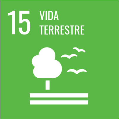 ODS 15 - Vida Terrestre